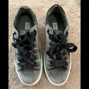 Steve Madden velvet gray sneakers